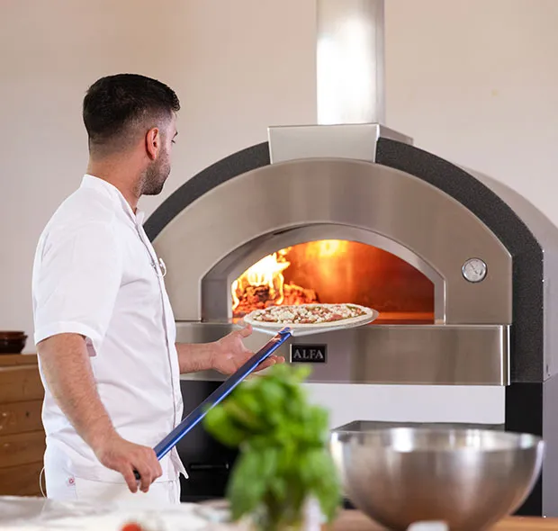 Professional pizza ovens