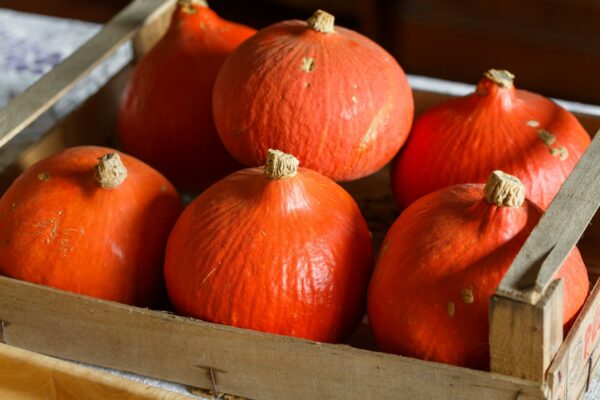 Saisonale Rezepte für den Herbstbeginn mit Alfa